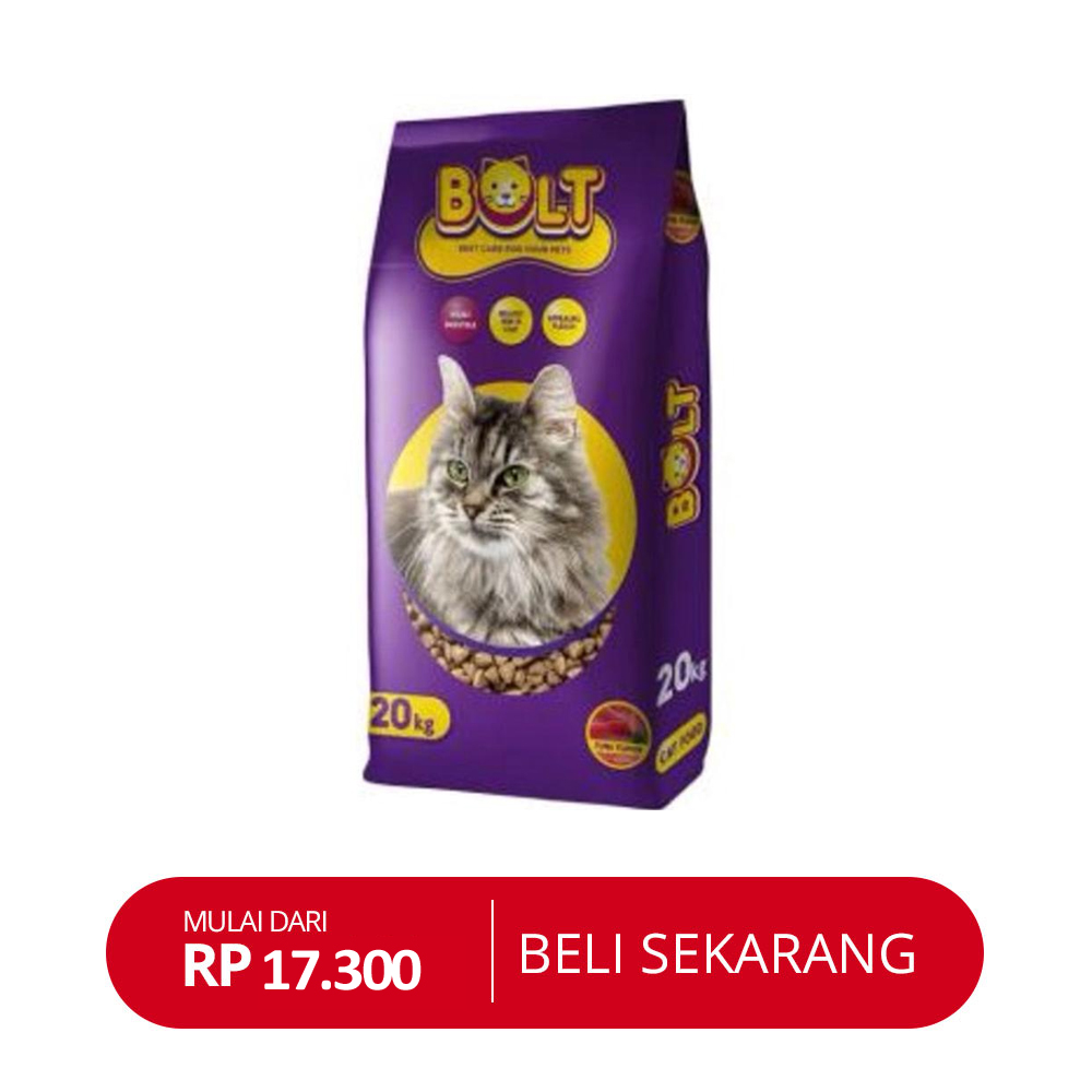Tips Penting dalam Merawat Kucing yang Baru Lahir