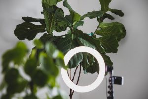 Ring Light peralatan youtuber