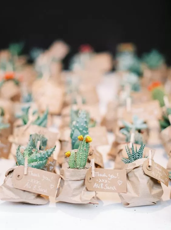 Kaktus Mini Souvenir Pernikahan 2021