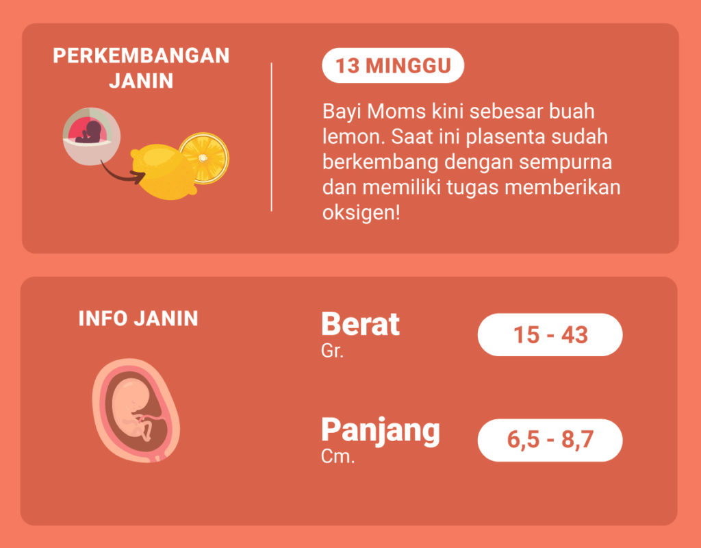 Di Usia Kehamilan 13 Minggu Ini Bagaimana Perkembangan Janin Moms