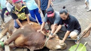 Perayaan Natal di Indonesia