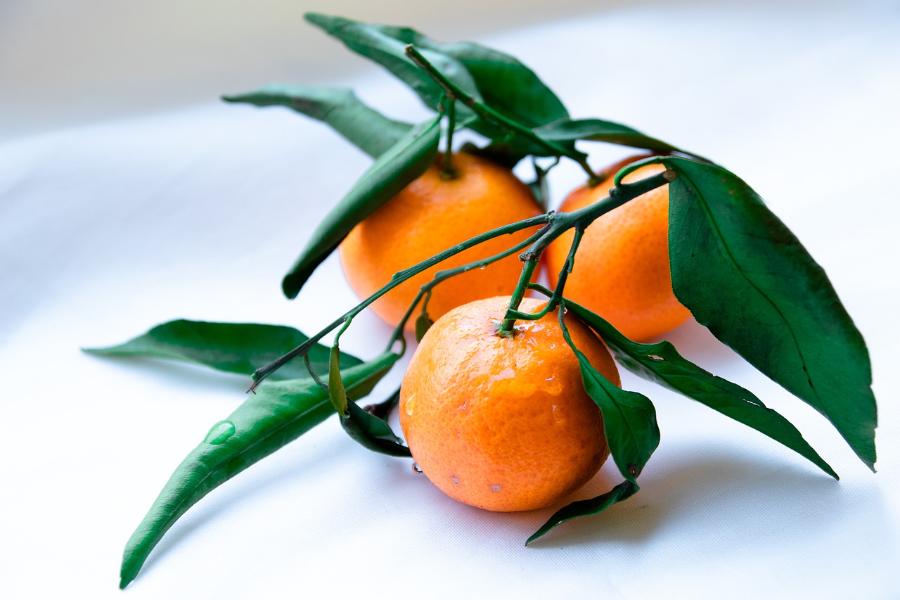 Jeruk mandarin