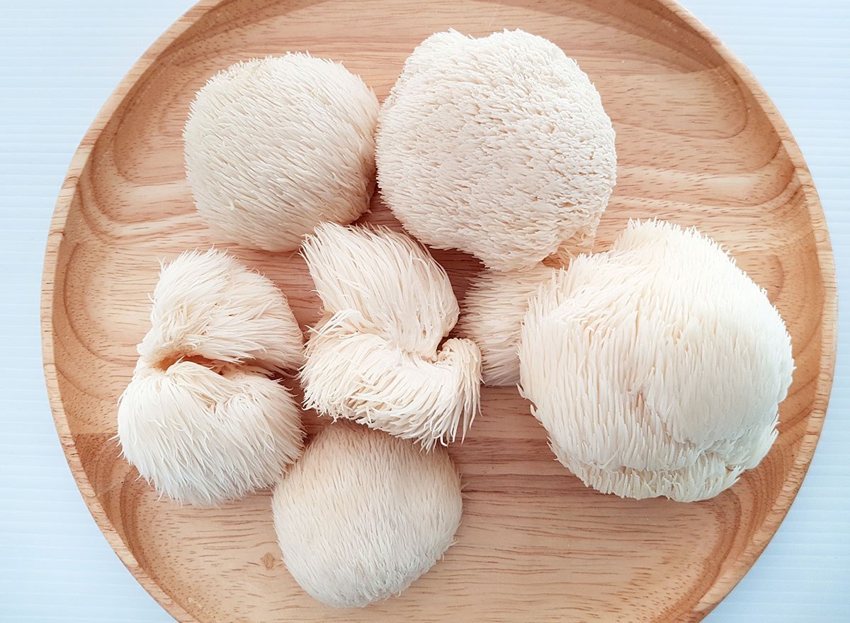 Jenis jamur yang bisa dimakan