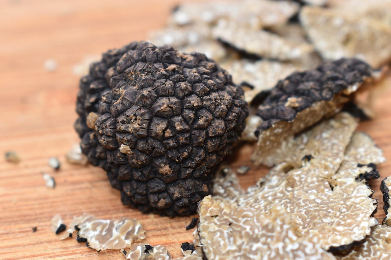 Truffle