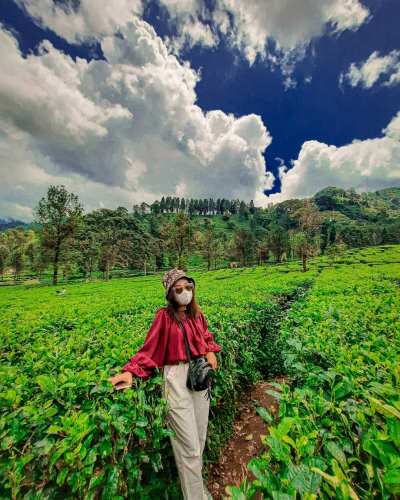 wisata alam di bogor