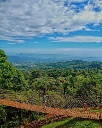 Bukit Halimun