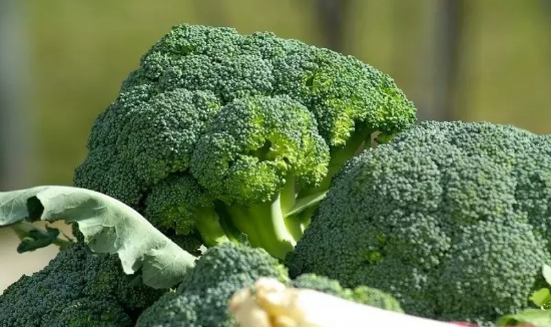 Brokoli Sayuran yang bisa menghilangkan jerawat