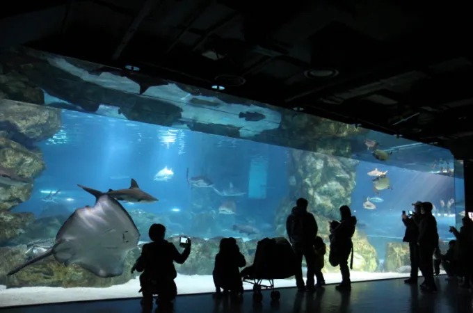 Coex Aquarium Korea Selatan