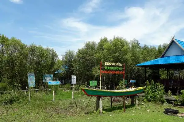 wisata banjarmasin hutan mangrove