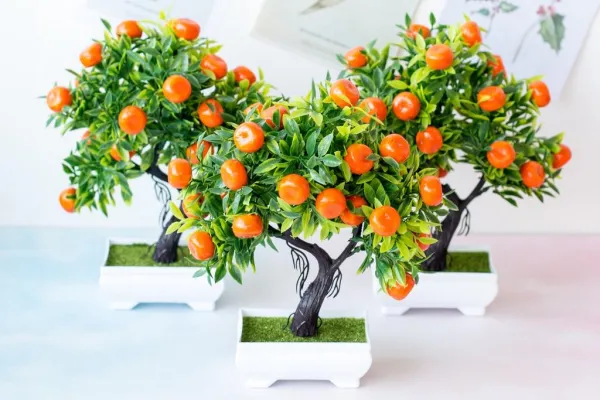 Jeruk Mandarin dekorasi imlek di rumah