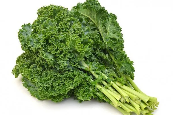 Kale sayuran hijau