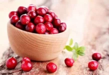 buah Cranberry