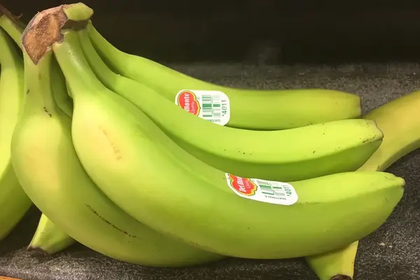 Manfaat pisang hijau