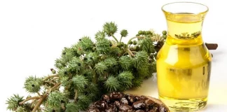 manfaat castor oil