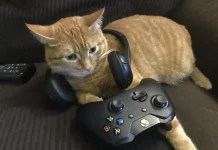 game kucing google online