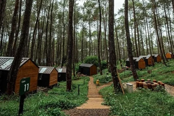 Tempat Camping di Bandung Bobocabin