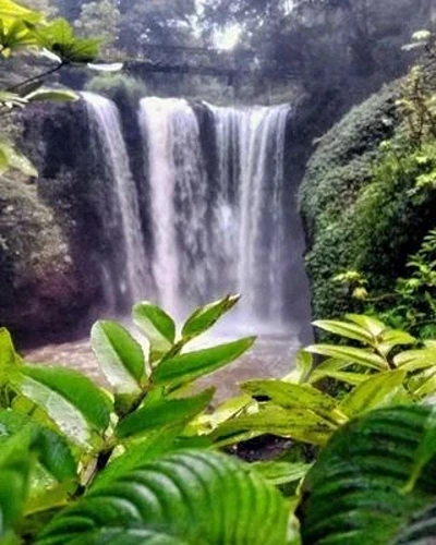 Tempat wisata di Bandung Taman Hutan Raya