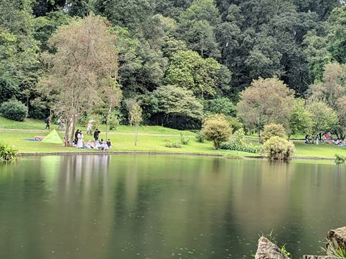 wisata puncak bogor kebun raya cibodas